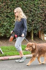 Pregnant AMANDA SEYFRIED Walks Her Dog Out in Los Angeles 02/21/2017