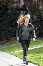 Pregnant AMANDA SEYFRIED Out and About in Los Angeles 02/07/2017
