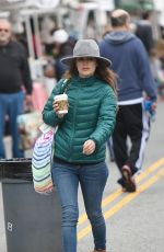 RACHEL BISLON Shopping at Farmers Market in Los Angeles 02/19/2017