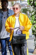 SOFIA RICHIE Out and About in Beverly Hills 02/04/2017