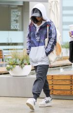 VANESSA and STELLA HUDGENS Leaves Soulcycle in Hollywood 02/20/2017