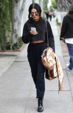 VANESSA HUDGENS Out and About in Los Angeles 02/25/2017