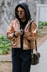 VANESSA HUDGENS Out and About in Los Angeles 02/25/2017