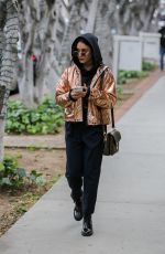 VANESSA HUDGENS Out and About in Los Angeles 02/25/2017