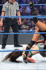 WWE - Elimination Chamber 2017