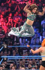 WWE - Elimination Chamber 2017