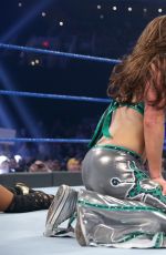 WWE - Elimination Chamber 2017