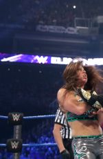 WWE - Elimination Chamber 2017