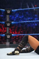 WWE - Elimination Chamber 2017