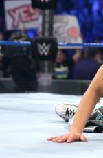 WWE - Elimination Chamber 2017