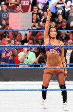 WWE - Elimination Chamber 2017