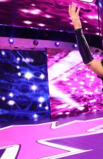 WWE - Elimination Chamber 2017