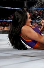 WWE - Elimination Chamber 2017