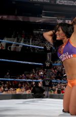 WWE - Elimination Chamber 2017