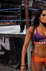WWE - Elimination Chamber 2017