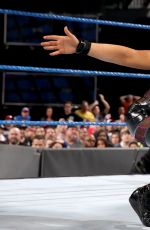 WWE - Elimination Chamber 2017