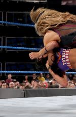WWE - Elimination Chamber 2017