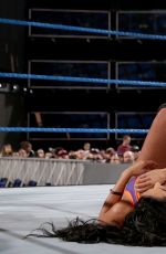 WWE - Elimination Chamber 2017