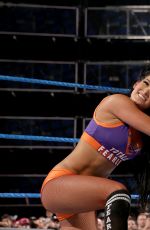 WWE - Elimination Chamber 2017