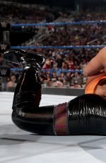 WWE - Elimination Chamber 2017