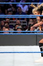 WWE - Elimination Chamber 2017