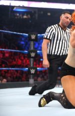 WWE - Elimination Chamber 2017