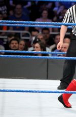 WWE - Elimination Chamber 2017