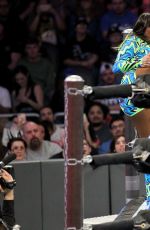WWE - Elimination Chamber 2017