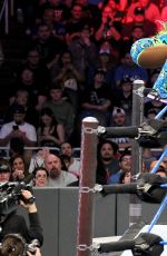 WWE - Elimination Chamber 2017