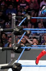 WWE - Elimination Chamber 2017