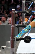 WWE - Elimination Chamber 2017