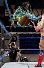 WWE - Elimination Chamber 2017