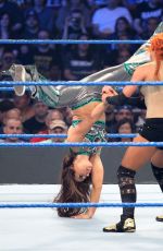 WWE - Elimination Chamber 2017