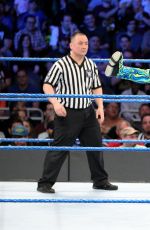WWE - Elimination Chamber 2017