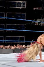 WWE - Elimination Chamber 2017