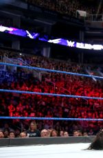WWE - Elimination Chamber 2017