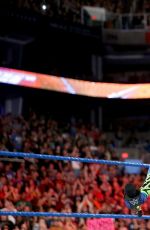 WWE - Elimination Chamber 2017
