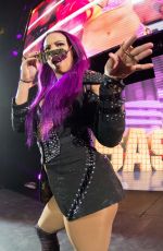WWE - Live in Nurnberg, February 2017