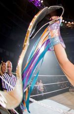 WWE - Live in Nurnberg, February 2017