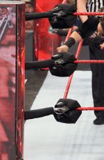 WWE - Raw Digitals 01/30/2017