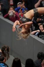 WWE - Raw Digitals 02/13/2017