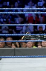 WWE - Smackdown Live 01/31/2017