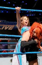 WWE - Smackdown Live 01/31/2017