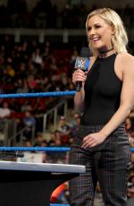 WWE - Smackdown Live 02/07/2017