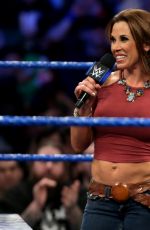 WWE - Smackdown Live 02/07/2017