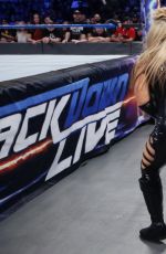 WWE - Smackdown Live 02/21/2017