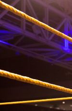 WWE - WrestleMania Axxess