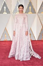 AMELIA WARNER at 89th Annual Academy Awards in Hollywood 02/26/2017
