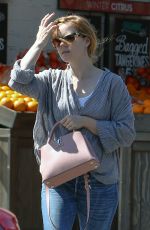 AMY ADAMS Shopping Grocery in Los Angeles 03/15/2017