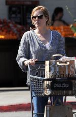 AMY ADAMS Shopping Grocery in Los Angeles 03/15/2017
